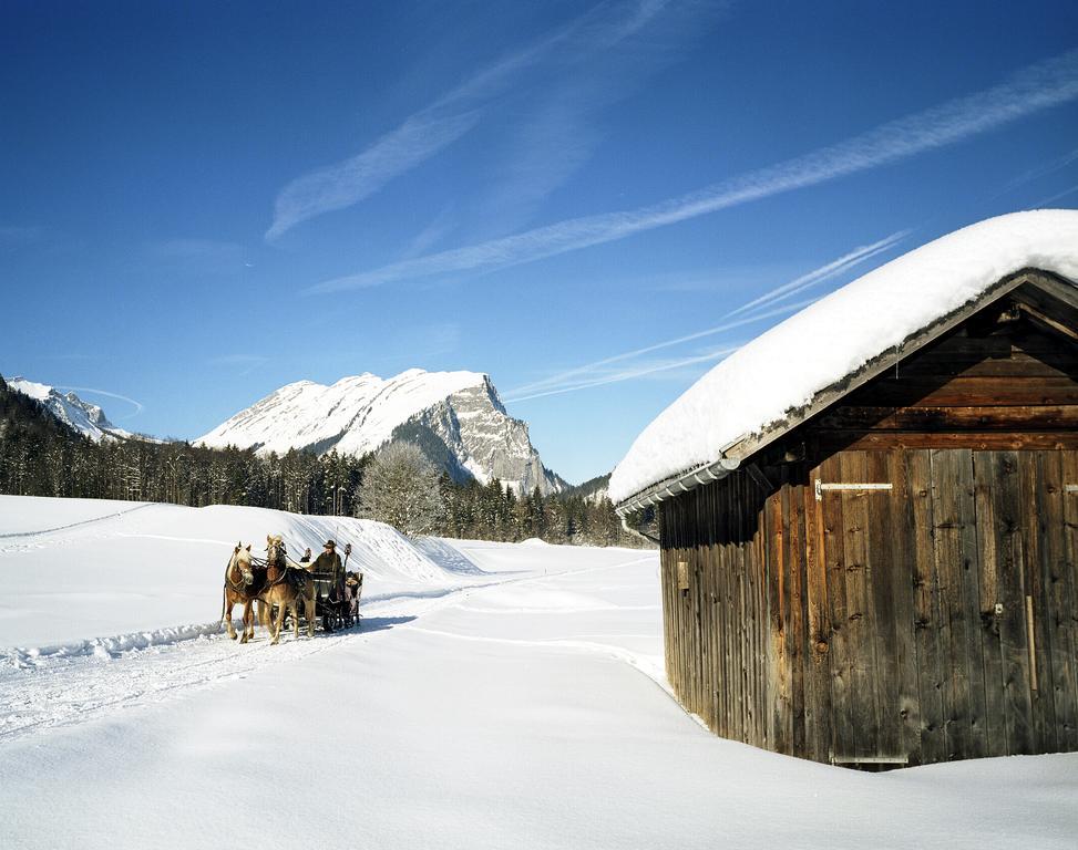 Haus Felder Schoppernau Daire Dış mekan fotoğraf